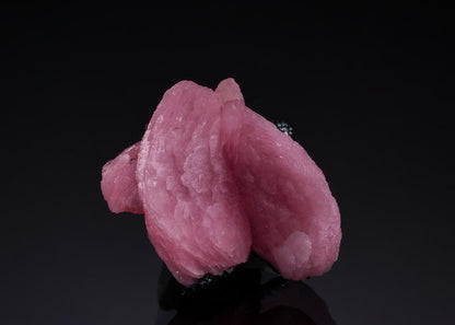 CC51858 specimen image