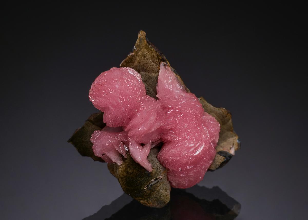 CC51860 specimen image