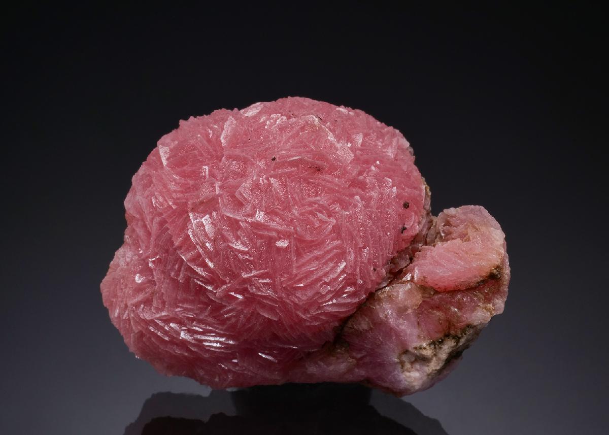 CC51864 specimen image