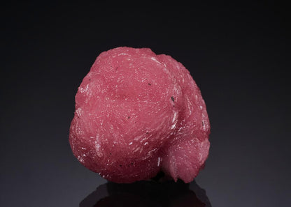 CC51866 specimen image