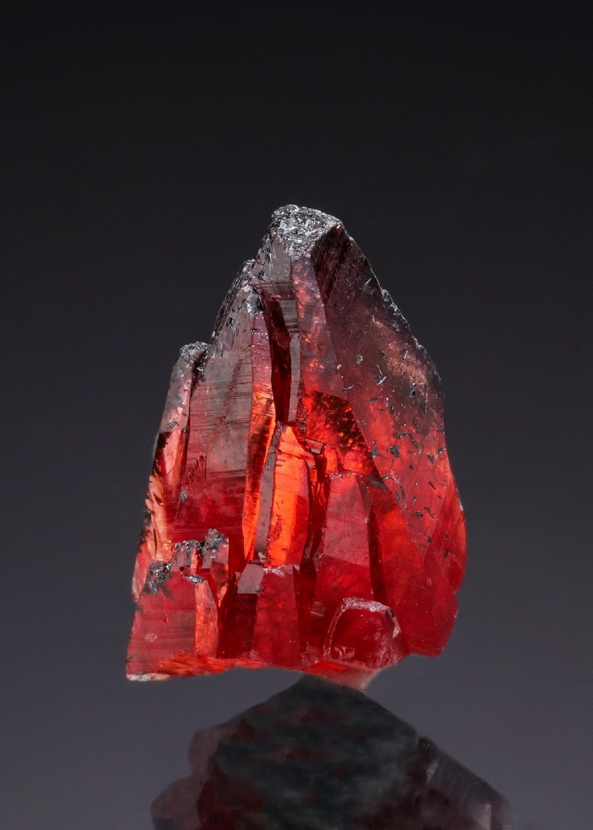 CC51870 specimen image