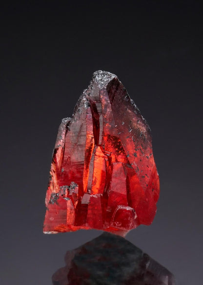 CC51870 specimen image