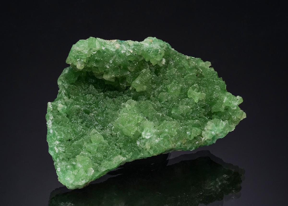 CC51902 specimen image