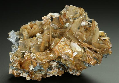 CC5191 specimen image