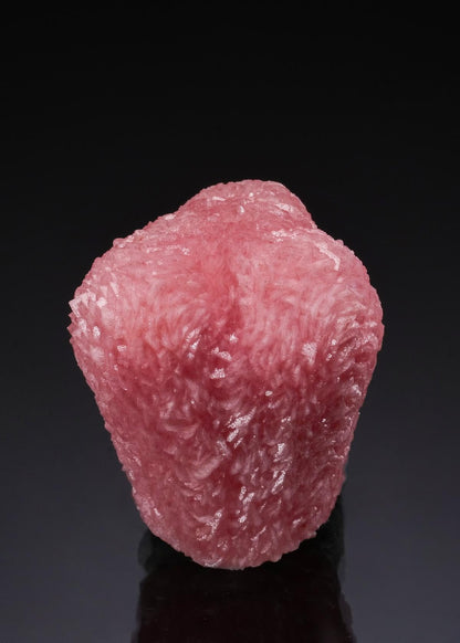 CC51918 specimen image