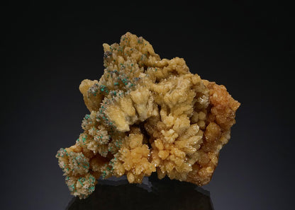 CC51932 specimen image