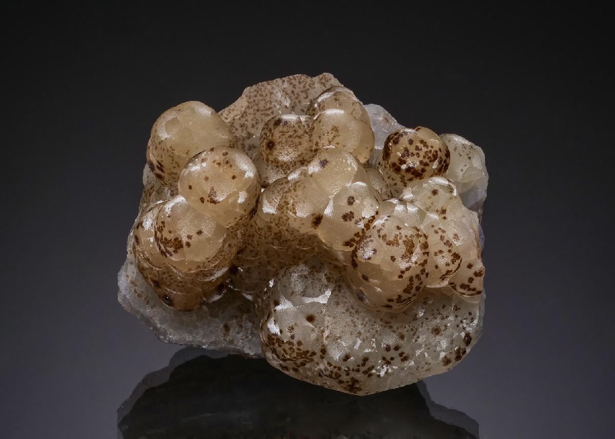 CC51938 specimen image