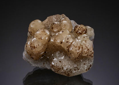 CC51938 specimen image