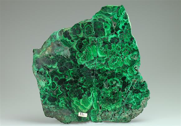 CC5194 specimen image