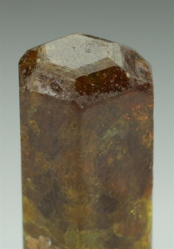 CC5196 specimen image