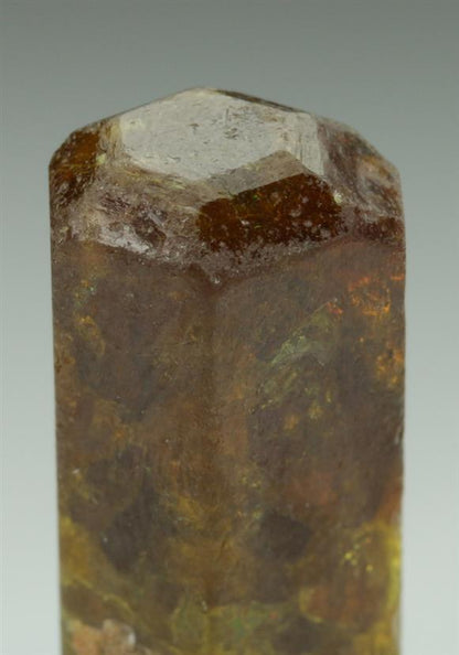 CC5196 specimen image