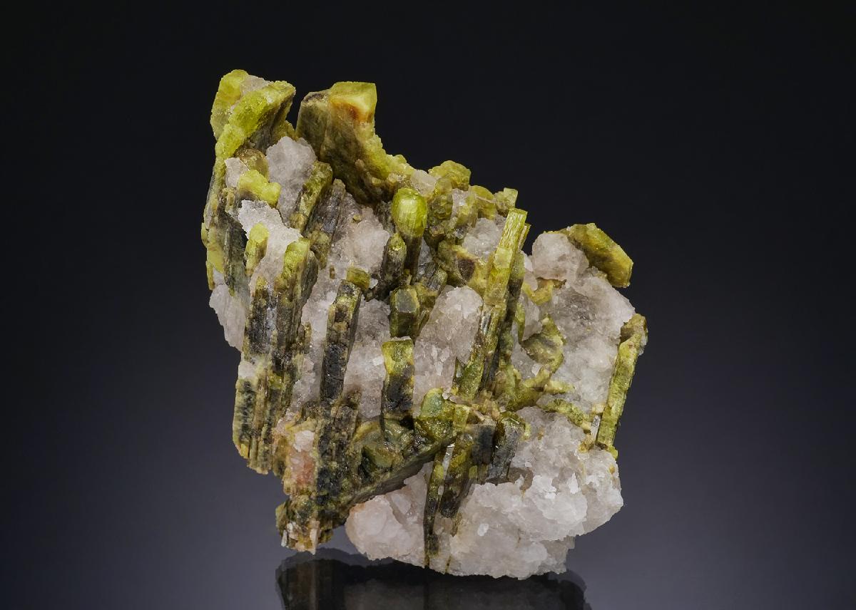 CC51990 specimen image