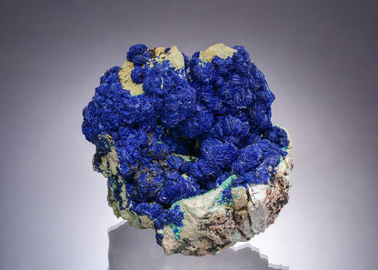 CC52000 specimen image
