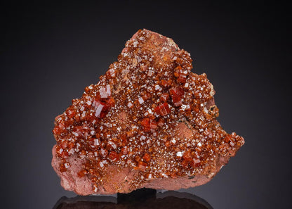 CC52012 specimen image