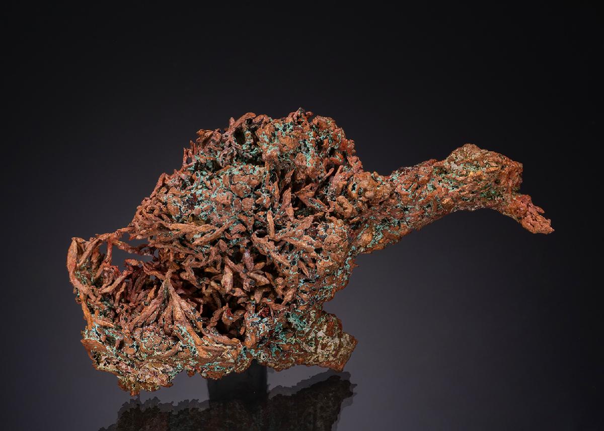 CC52022 specimen image