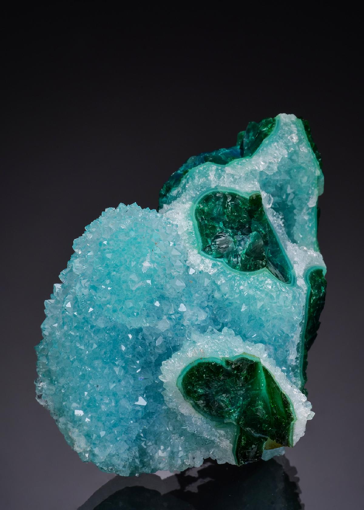 CC52044 specimen image