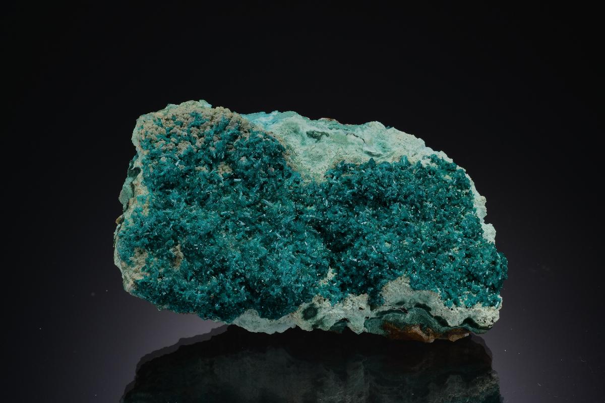 CC52052 specimen image