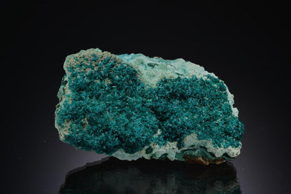 CC52052 specimen image