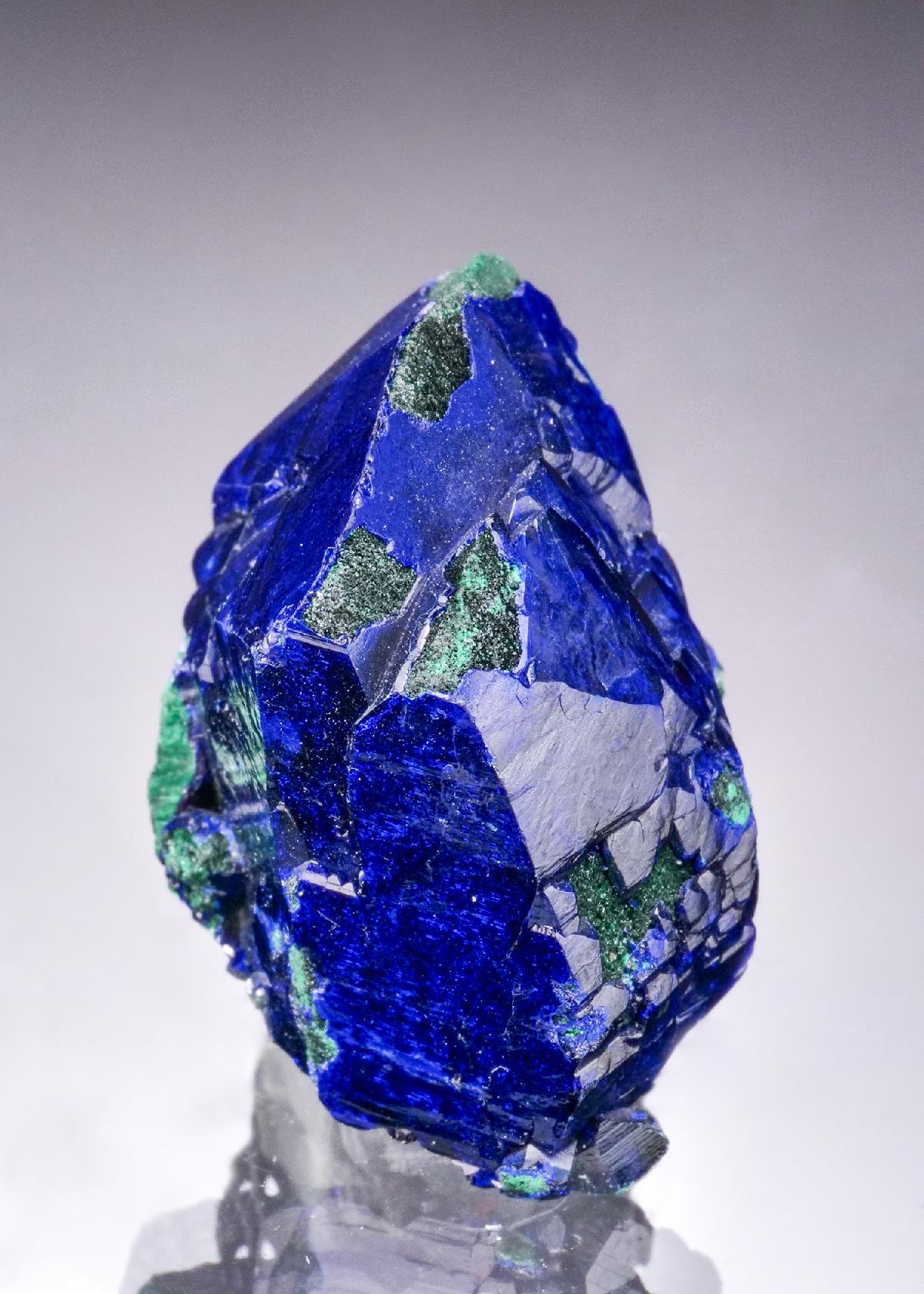 CC52056 specimen image