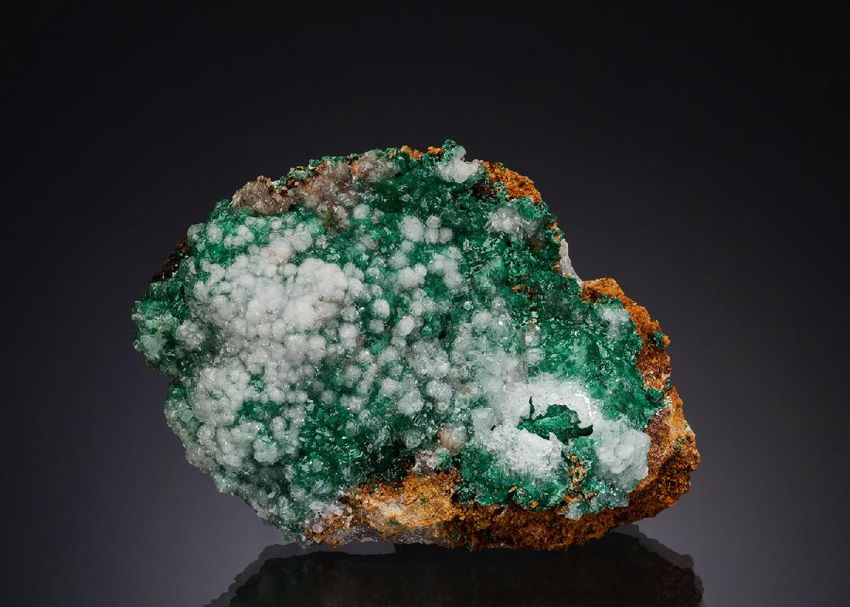 CC52084 specimen image