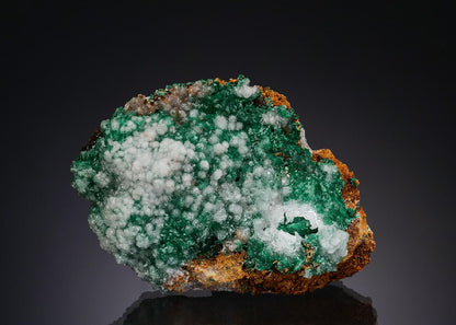 CC52084 specimen image