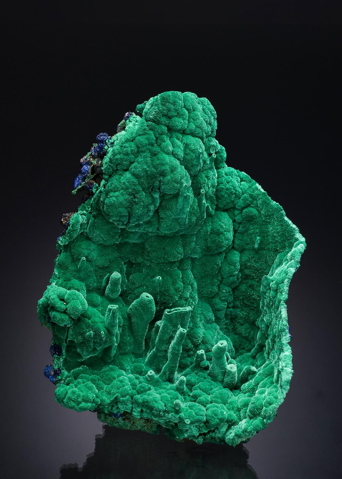 CC52090 specimen image