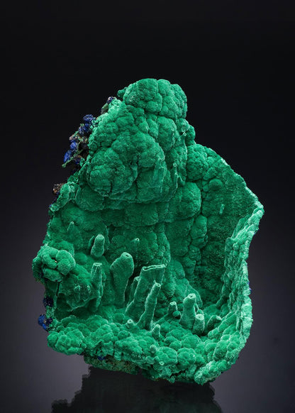 CC52090 specimen image