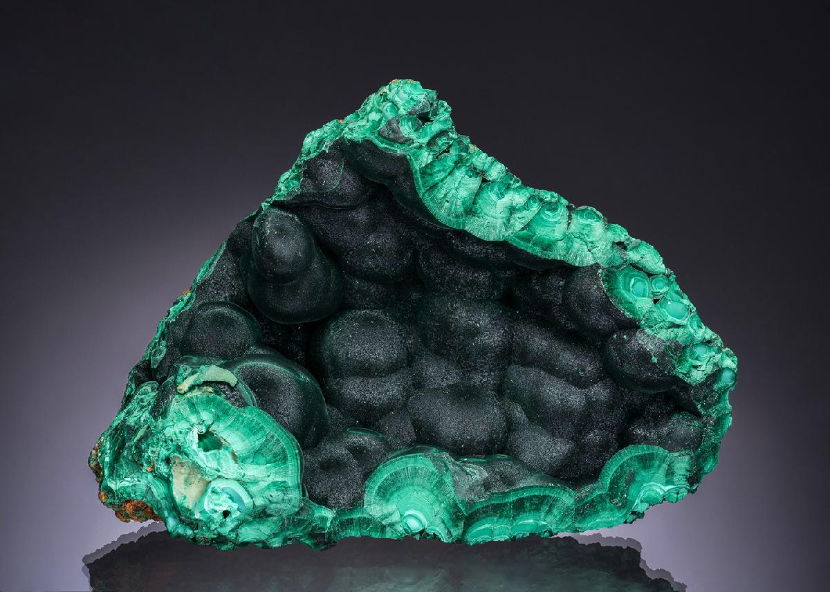 CC52092 specimen image
