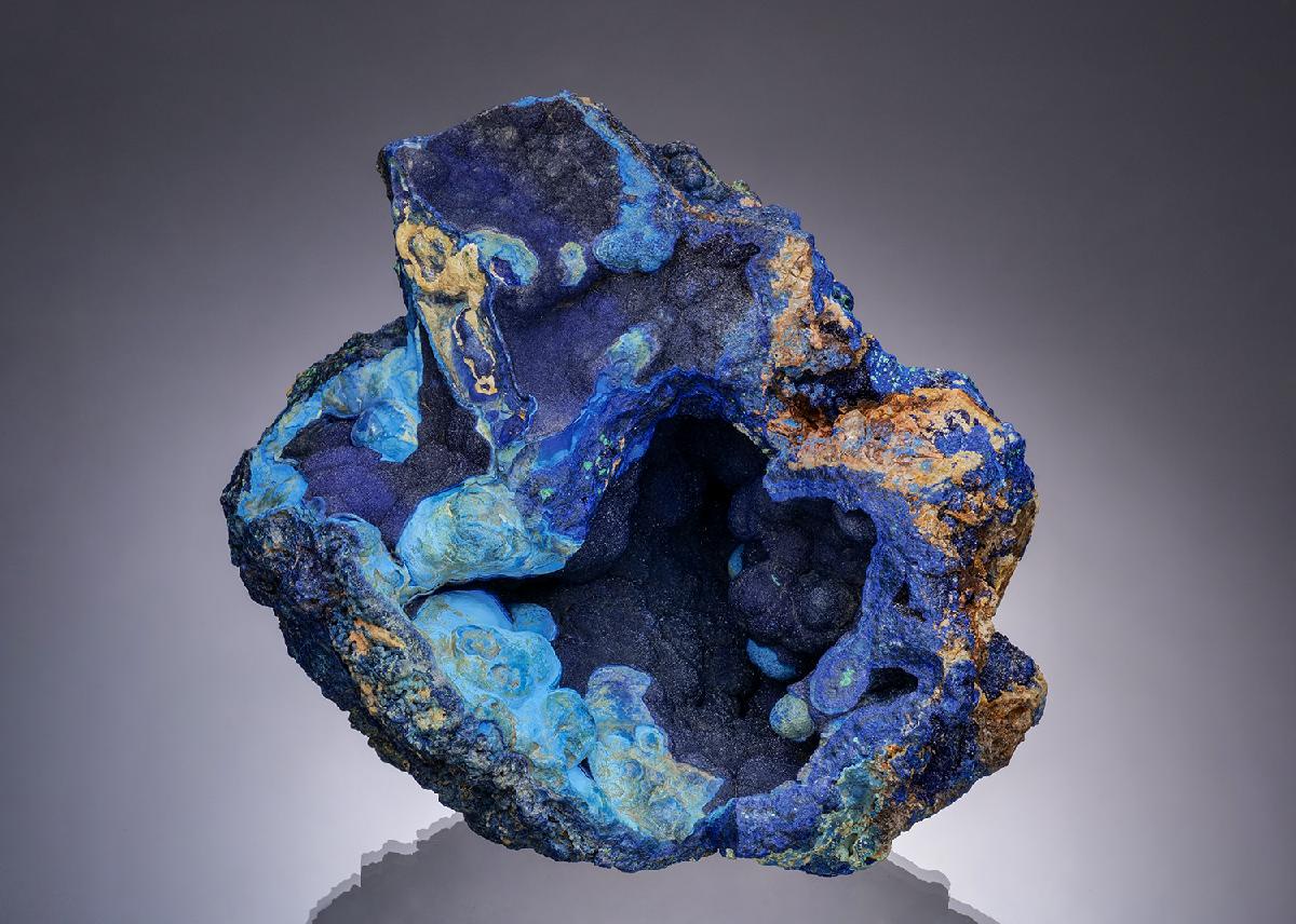CC52098 specimen image