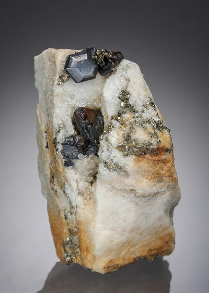 CC52102 specimen image