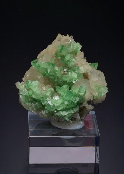 CC52106 specimen image