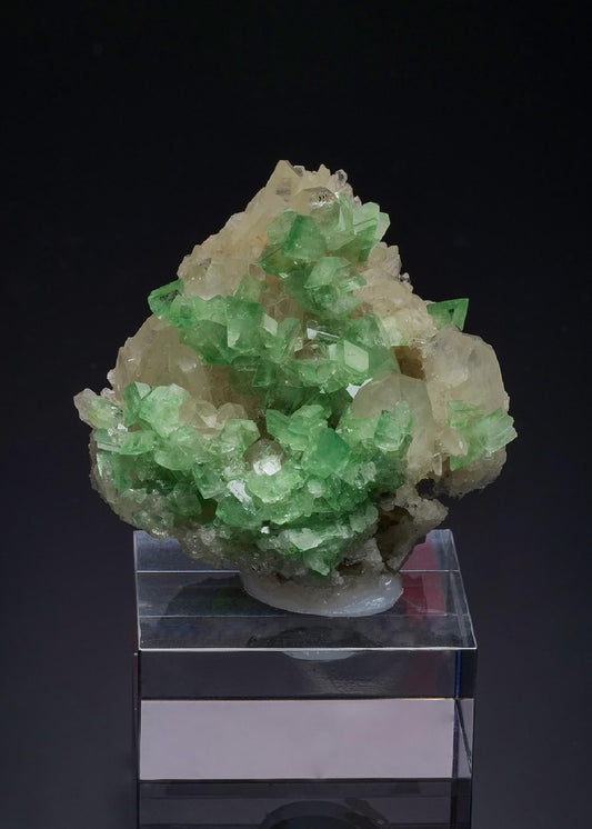 CC52106 specimen image