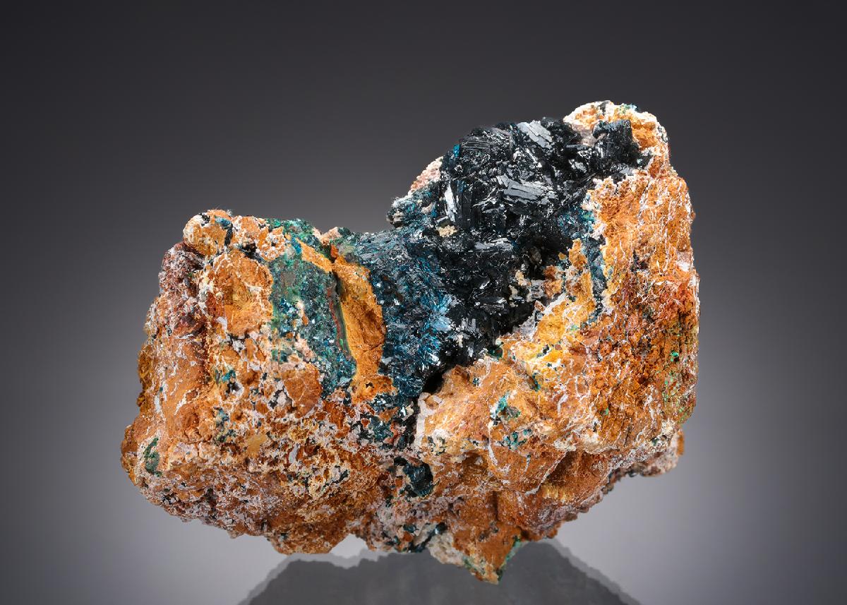 CC52118 specimen image