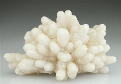CC5212 specimen image