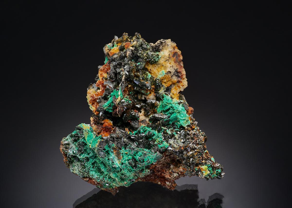 CC52120 specimen image