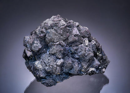 CC52132 specimen image