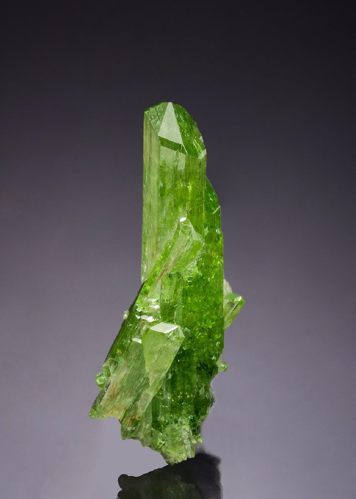 CC52152 specimen image