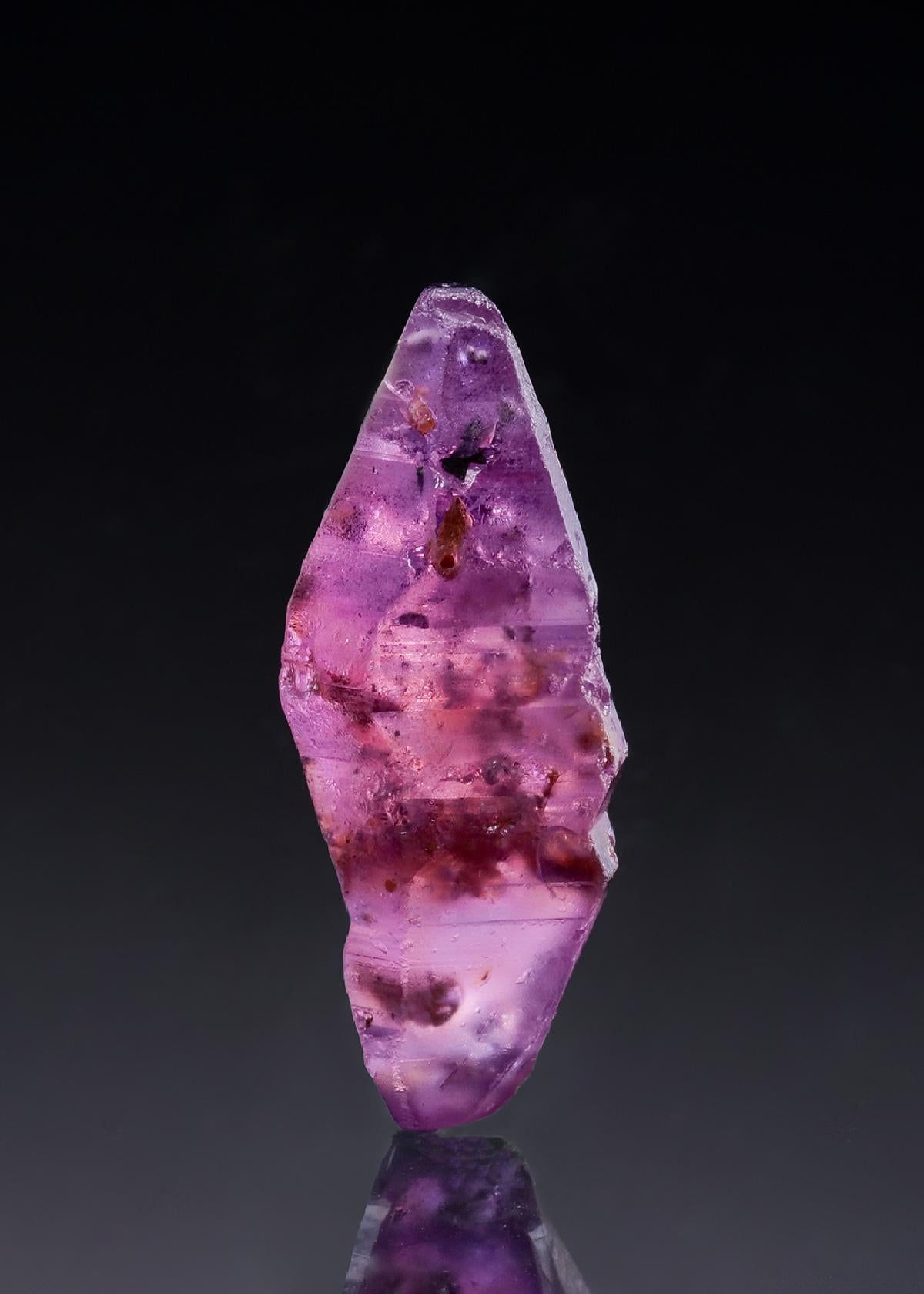 CC52154 specimen image