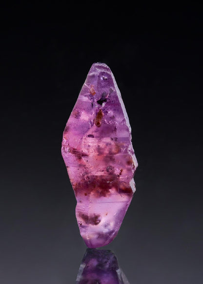 CC52154 specimen image