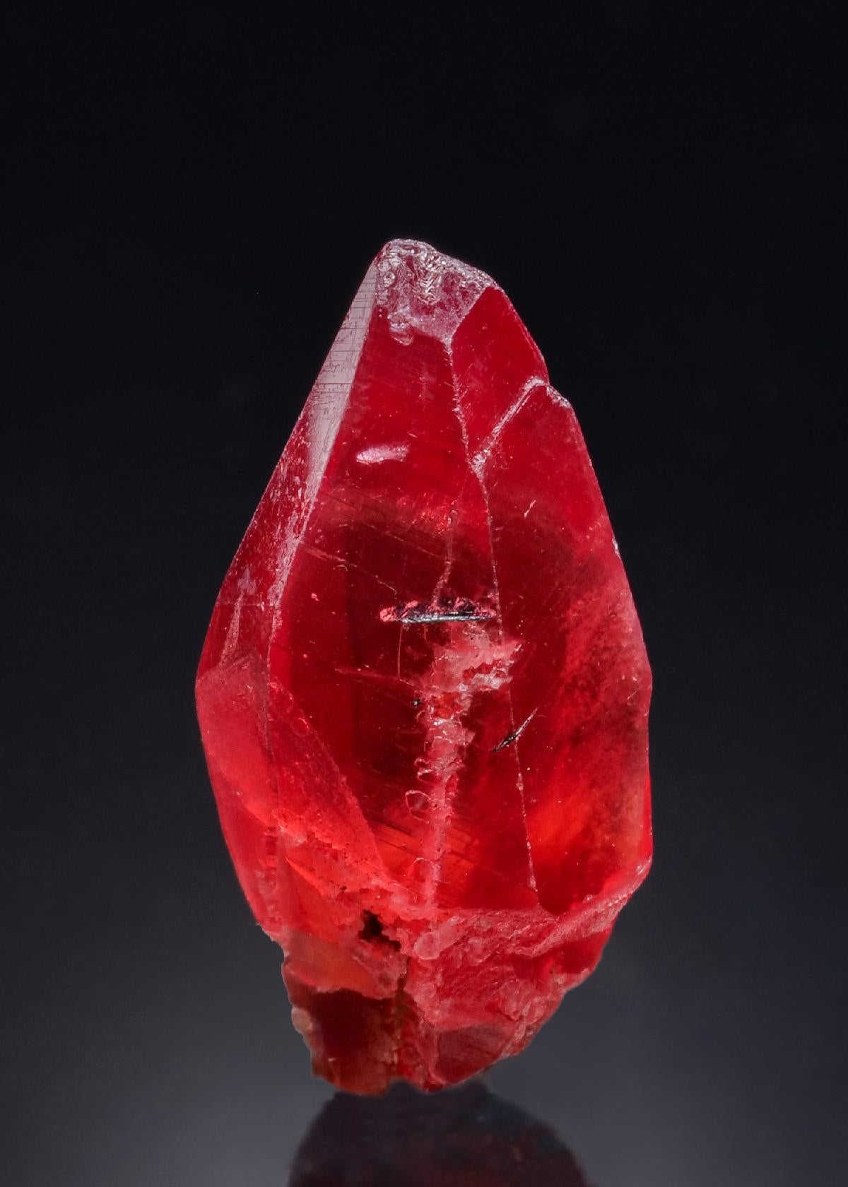 CC52242 specimen image