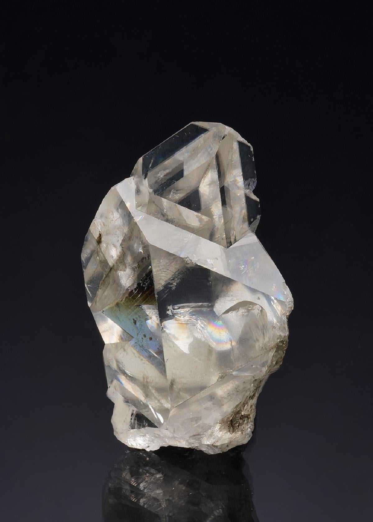 CC52282 specimen image