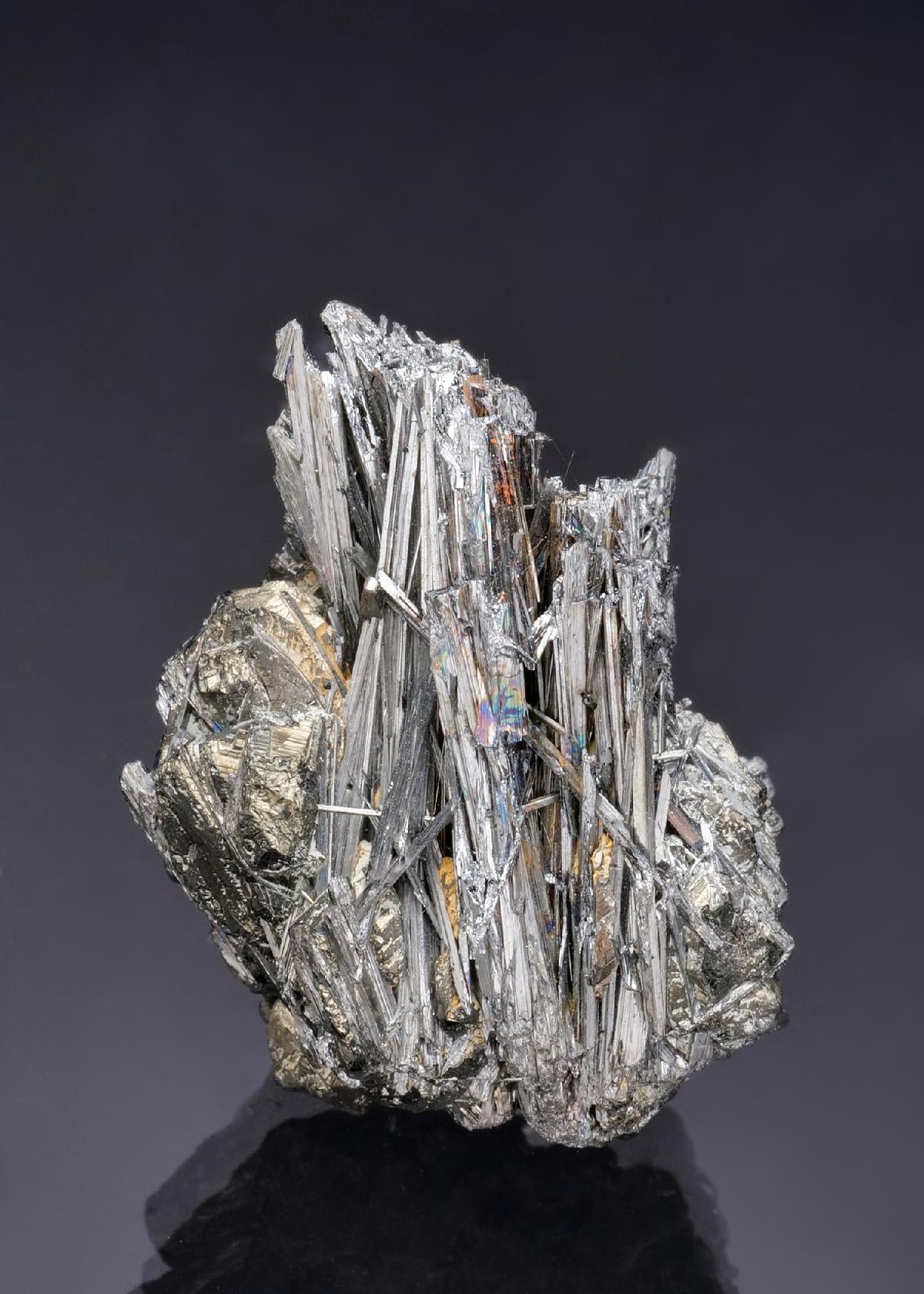 CC52292 specimen image