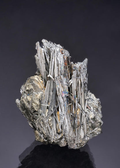 CC52292 specimen image