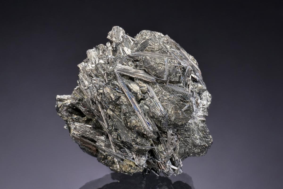 CC52294 specimen image
