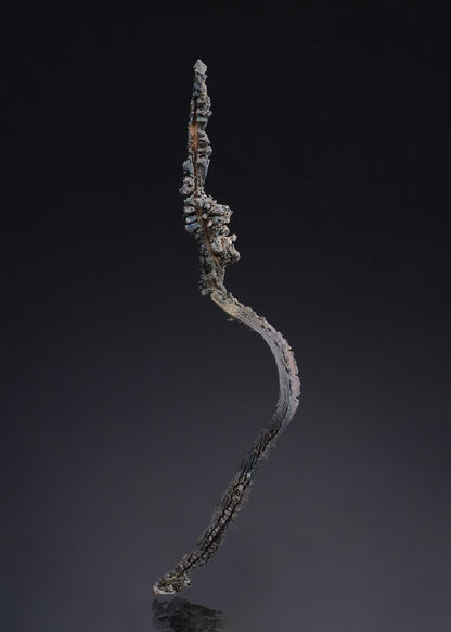 CC52314 specimen image