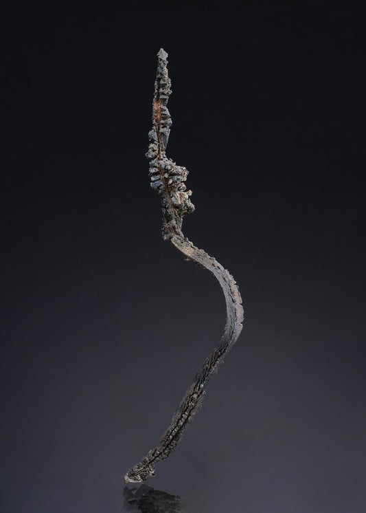 CC52314 specimen image