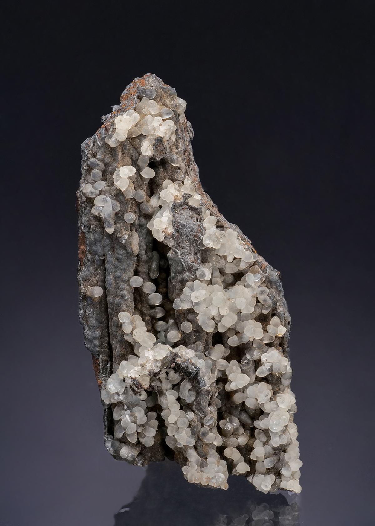 CC52324 specimen image