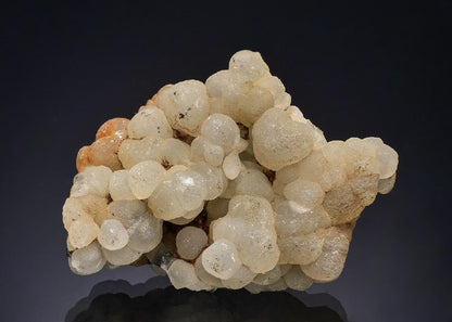 CC52346 specimen image