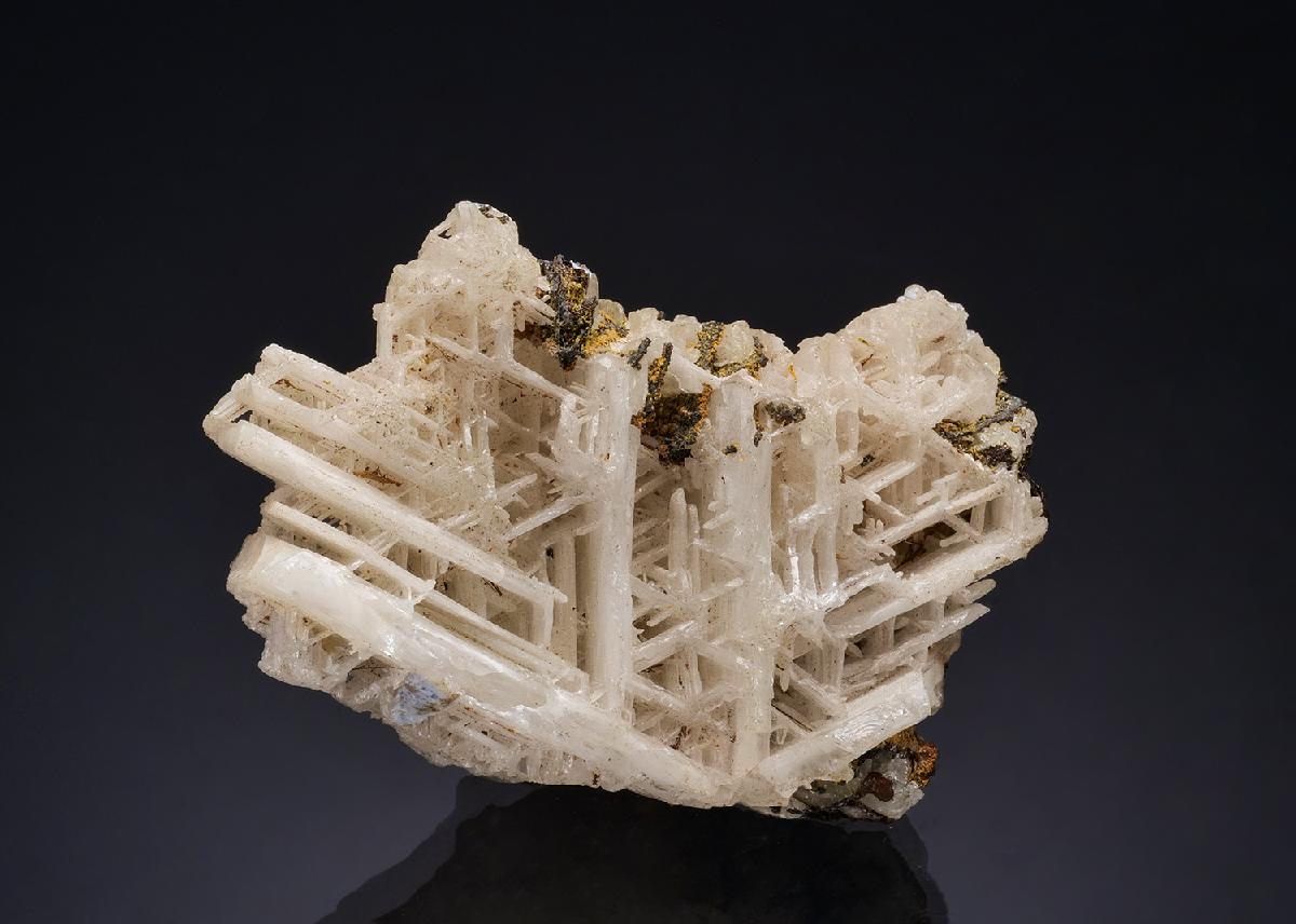 CC52348 specimen image