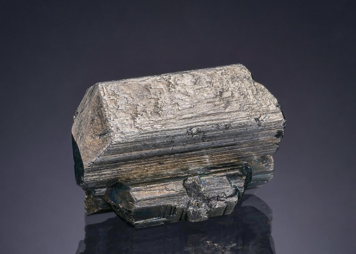 CC52352 specimen image
